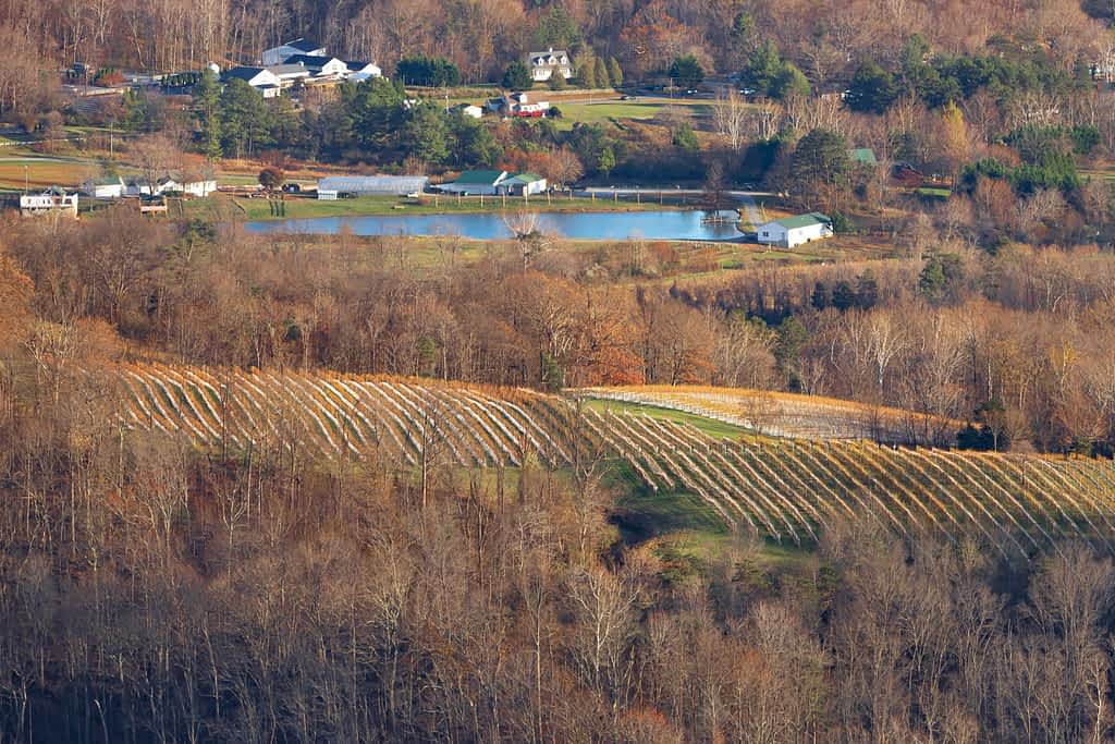 Photo of A Farm showing how the Camera Aperture Setting affects depth of field.