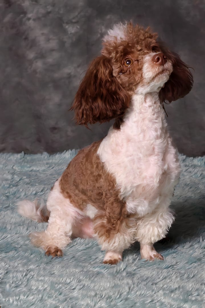 IMG_1537-2 IMG_1537-2